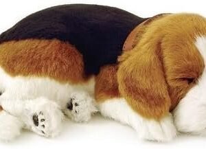 Wind & Weather Perfect Petzzz Beagle Puppy Kit Toy Fun
