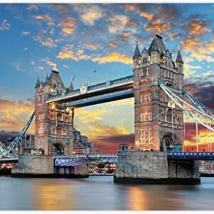 TNO 1000 Pieces Jigsaw Puzzles for Adults, Themes Puzzle Sets for Family,