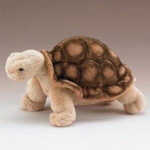 Wildlife Artists Tortoise 10 L Kit Toy Fun Kids Pack