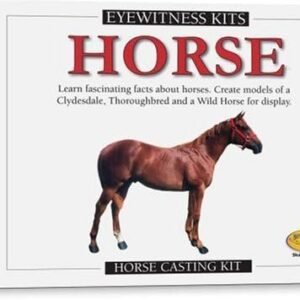 Skullduggery Eyewitness Kits Perfect Cast Horses Cast, Paint, Display and Learn Craft
