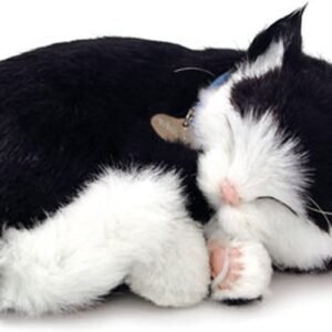 Perfect Petzzz Kitten - Black/ White Kit Toy Fun Kids