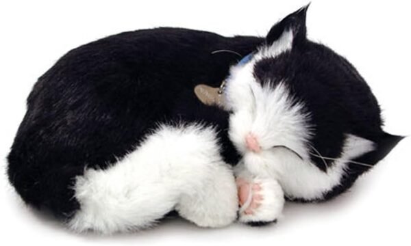 Perfect Petzzz Kitten - Black/ White Kit Toy Fun Kids