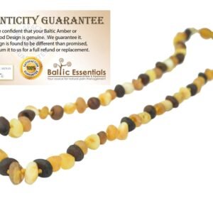 Baltic Amber Necklace Raw Multi 12.5 Authenticy Certificate All Natural 100% Safe