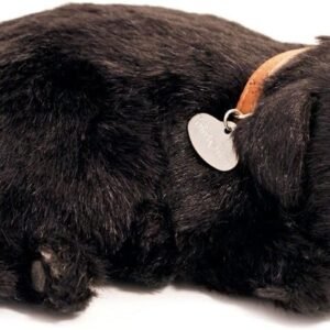 Perfect Petzzz PP91-22BV6 Black Lab Kit Toy Fun Kids Pack
