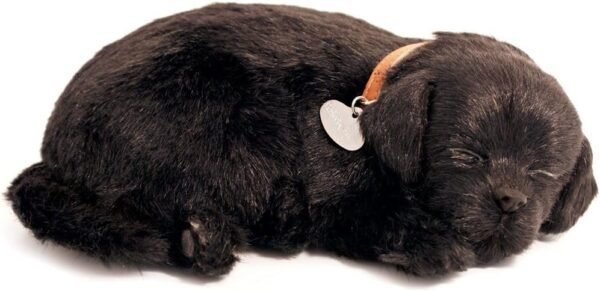 Perfect Petzzz PP91-22BV6 Black Lab Kit Toy Fun Kids Pack