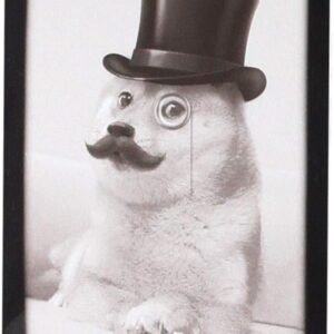 Ultra Pro Doge Such Class, Much Fancy Deck Protector sleeves, 84540, 50