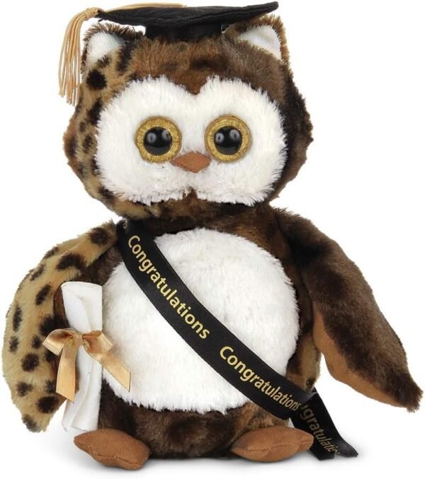Bearington Wisdom Class of 2020 Graduation Plush Stuffed Animal Owl, 8.5 inches