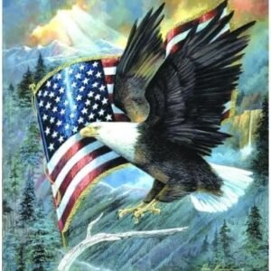 SUNSOUT INC American Eagle 500 pc Jigsaw Puzzle Kit Toy