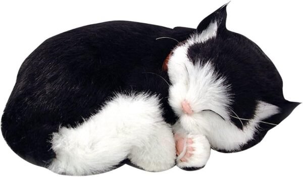 Black and White Shorthair Cat Animated Pet Kit Toy Fun