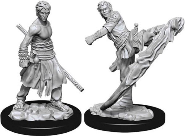 Nolzurs Marvelous Miniatures Wizkids - D&D Male Half-Elf Monk -WZK73838