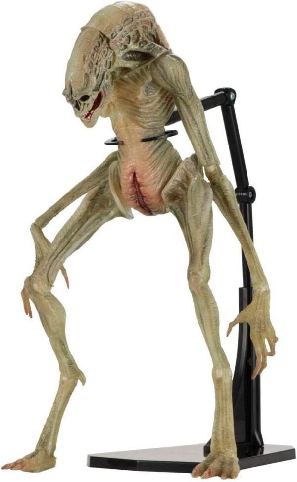 NECAA 51654 Aliens 7 Scale Action Figure Deluxe Alien Resurrection Newborn, Multicolor