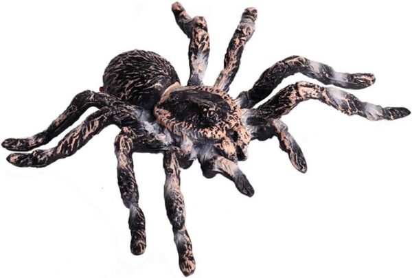 FLORMOON Realistic Animal Figures - Spider Action Model Lifelike Insect Toy Figures