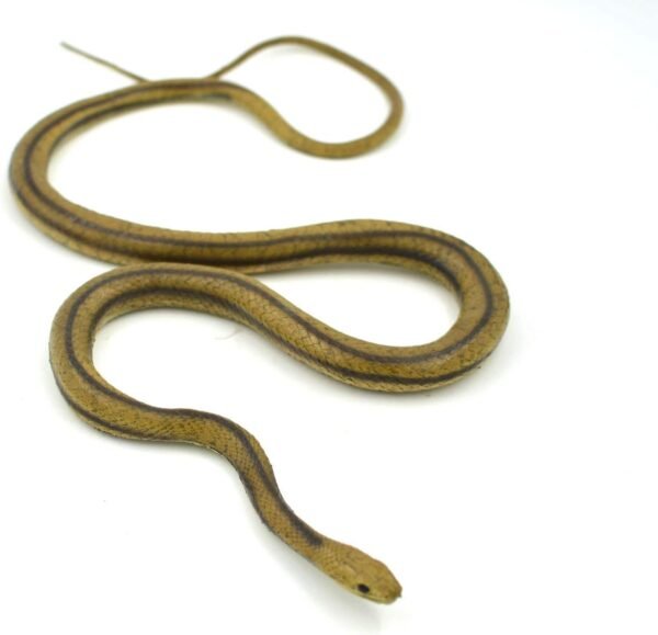 MameJo Lifelike Rubber Replica Yellow Rat Snake 48 Action Figure