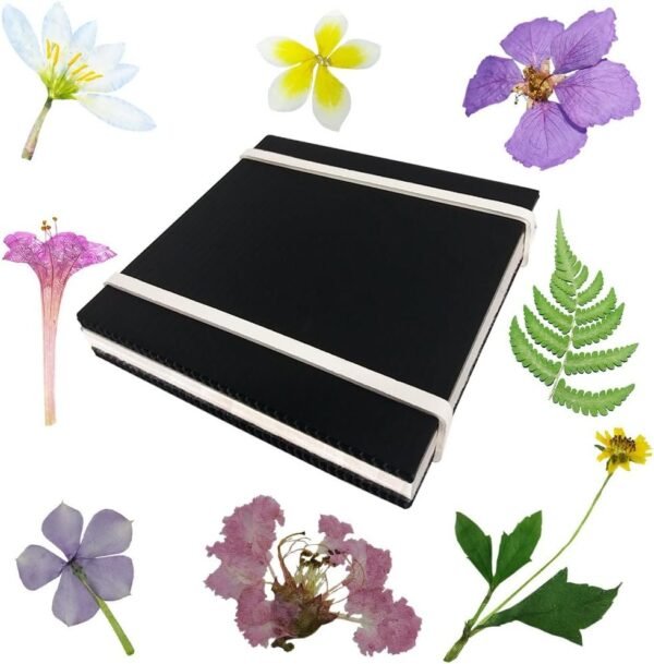 Rtree Microwave Flower Press, Leaf Press, Nature Press, Flower Pressing Kit Flower