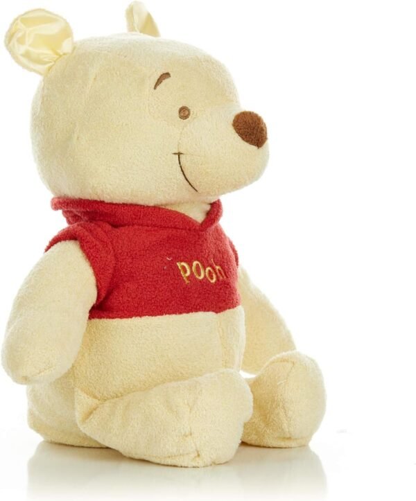 Disney Baby Winnie The Pooh Stuffed Animal Plush Toy Floppy Favorite, 16
