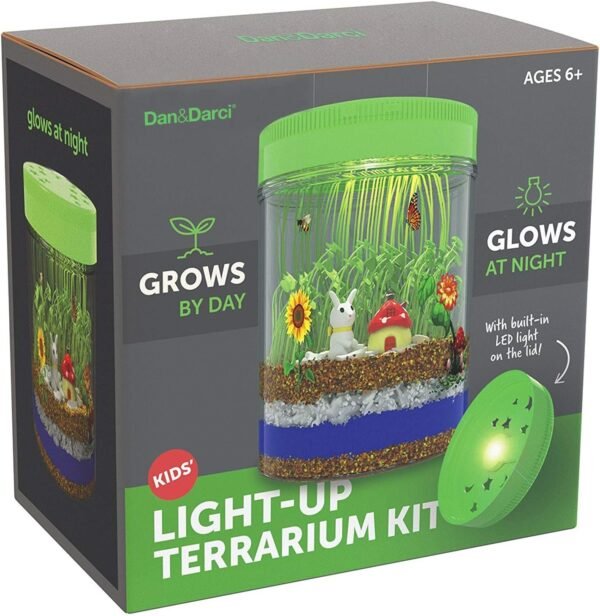 Light-up Terrarium Kit for Kids with LED Light on Lid - Create