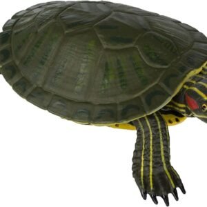 Safari Ltd Incredible Creatures Red-Eared Slider Turtle Kit Toy Fun