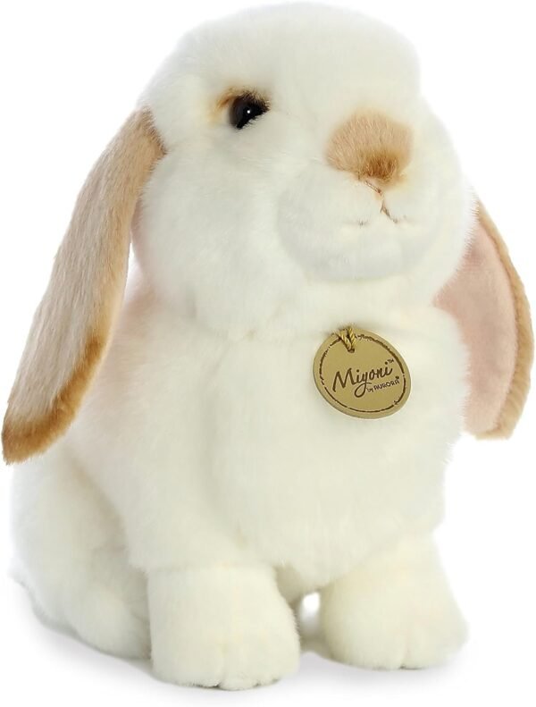 Aurora - Miyoni - 11 Lop Eared Rabbit with Tan Ears