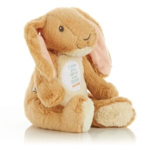 Guess How Much I Love You Nutbrown Hare Bean Bag Plush, 9
