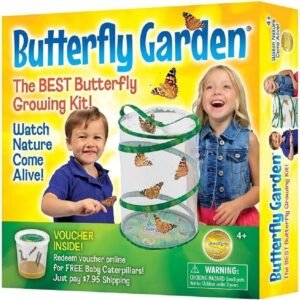Insect Lore Butterfly Growing Kit - With Voucher to Redeem Caterpillars Later