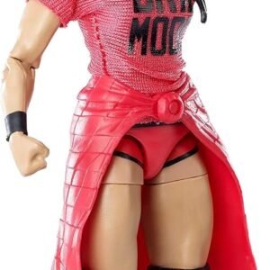 WWE Brie Bella Elite Collection Action Figure Kit Toy Fun