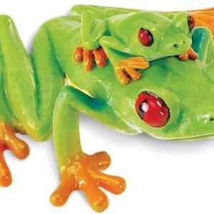Safari Ltd. Red Eyed Tree Frog Realistic Hand Painted Toy Figurine Model