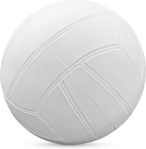 Botabee Swimming Pool Standard Size Water Volleyball for Use with Dunnrite, Intex,