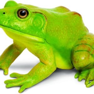 Safari Ltd Incredible Creatures American Bullfrog Kit Toy Fun Kids