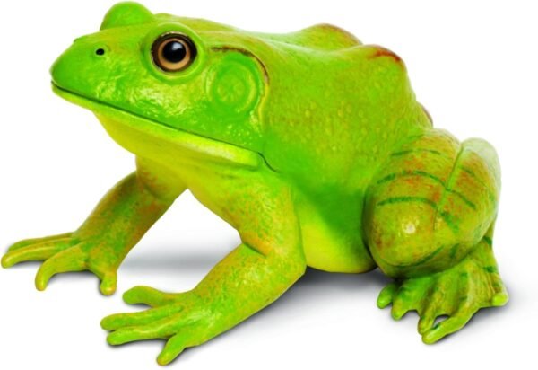Safari Ltd Incredible Creatures American Bullfrog Kit Toy Fun Kids