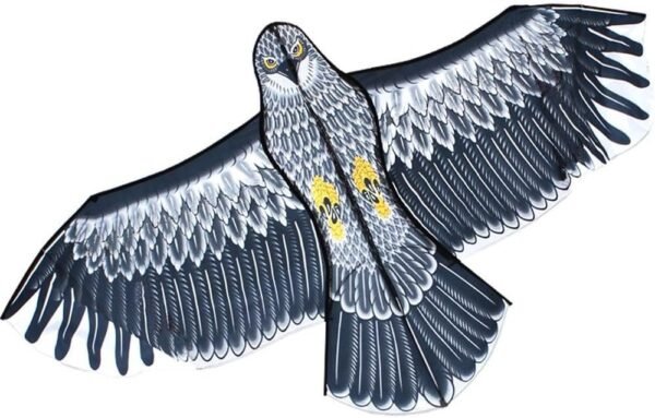HENGDA KITE New 60-Inch Edge Eagle Kite Kit Toy Fun