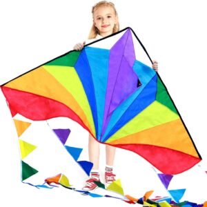 HONBO Large Delta Kites 54x31 for Kids and Adults for Beach Trip