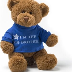 GUND Im the Big Brother T-Shirt Teddy Bear Stuffed Animal Plush, Blue,