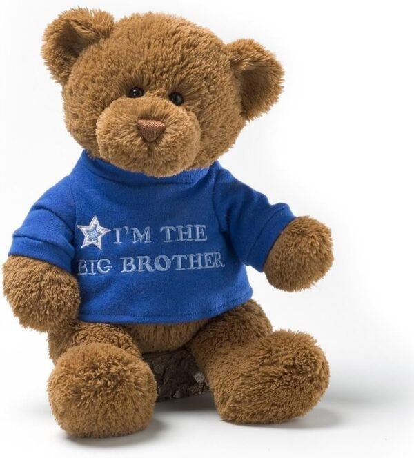 GUND Im the Big Brother T-Shirt Teddy Bear Stuffed Animal Plush, Blue,