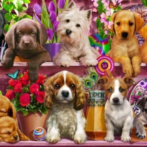 Puppies Galore Jigsaw Puzzle 1000 Piece Kit Toy Fun Kids
