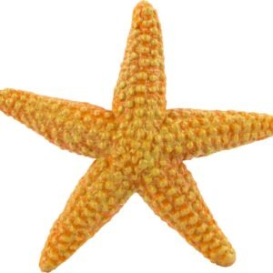 Safari Ltd Wild Safari Sea Life Starfish Kit Toy Fun