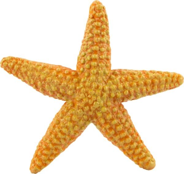 Safari Ltd Wild Safari Sea Life Starfish Kit Toy Fun