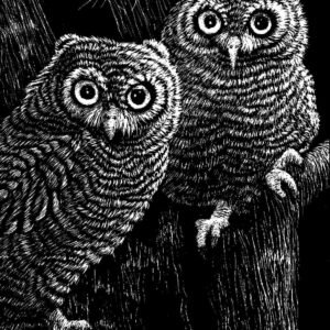 Scratch Art Black Coated Scratchboards 8 1/2 in. x 11 in. pack