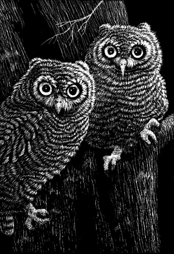 Scratch Art Black Coated Scratchboards 8 1/2 in. x 11 in. pack