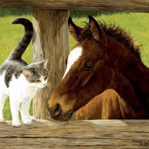 Whiskery Hello - Horse and Cat Puzzle - 500 Piece Jigsaw Puzzle