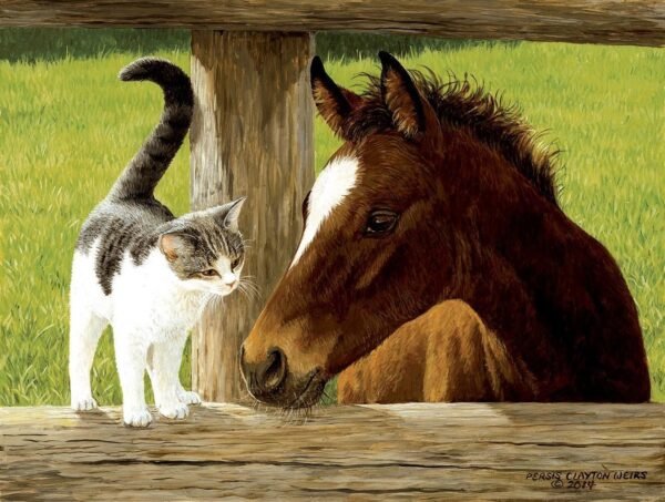 Whiskery Hello - Horse and Cat Puzzle - 500 Piece Jigsaw Puzzle