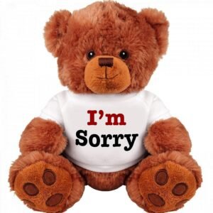 I Am Sorry Teddy Bear - Cute and Cuddly Funny Teddy Bear