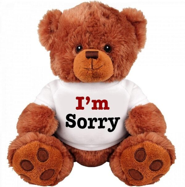 I Am Sorry Teddy Bear - Cute and Cuddly Funny Teddy Bear