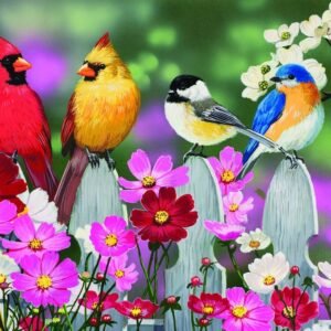 Songbirds 30 Piece Jigsaw Puzzle by SunsOut Kit Toy Fun