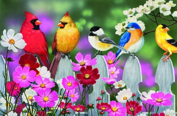 Songbirds 30 Piece Jigsaw Puzzle by SunsOut Kit Toy Fun