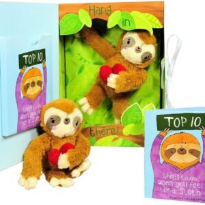 Get Well Gifts - Feel Like a Sloth Hang in There Get