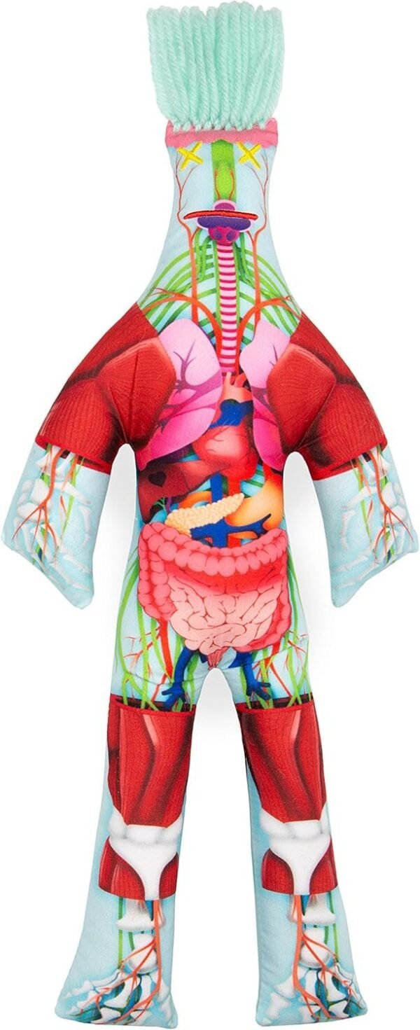 Dammit Doll - Limited Edition - Dammit Anatomy - Stress Relief, Gag