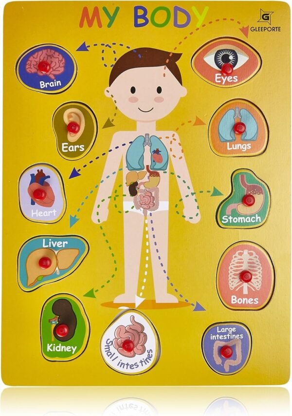 Wooden Peg Puzzle, My Body - Inside - Learning Educational Pegged Puzzle