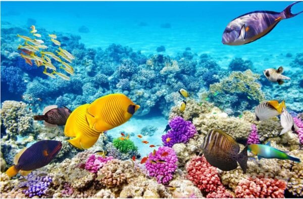 1000 Pieces Puzzles for Adults Ocean World Jigsaw Puzzles Challenging Puzzle Large