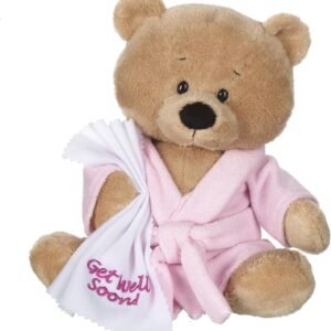 Ganz 10.5 Get Well Teddy with Pink Robe Plush Kit