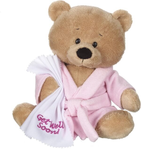 Ganz 10.5 Get Well Teddy with Pink Robe Plush Kit
